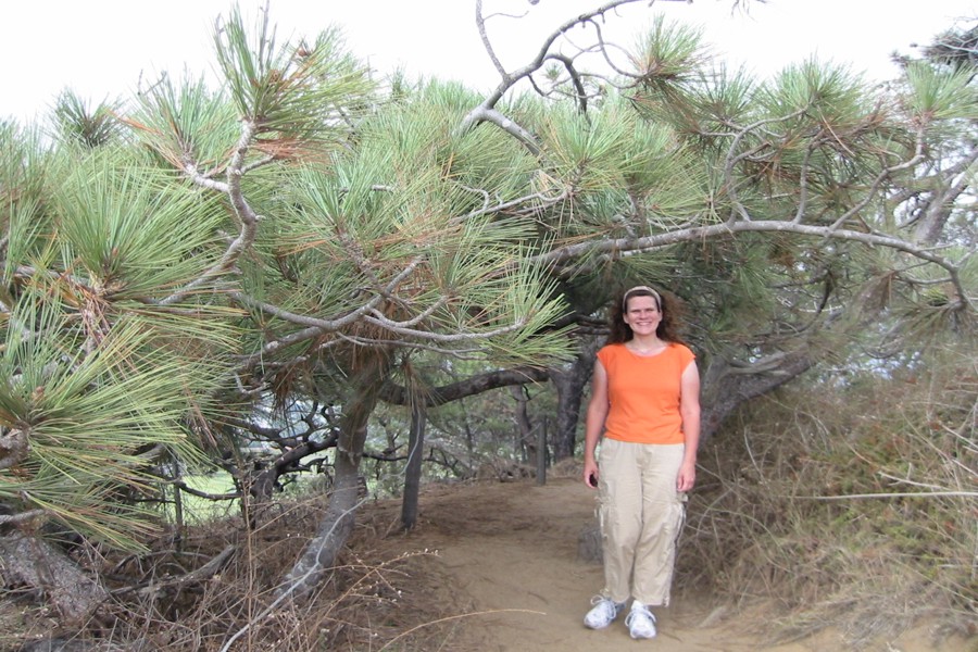 ../image/mary at torrey pines.jpg